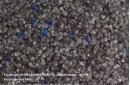 Kugelgarn-Resista-Eisblau wr198